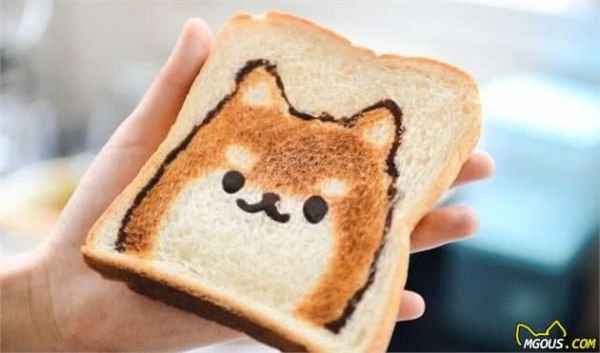 狗狗食物怎么做，自制犬粮方法与配方