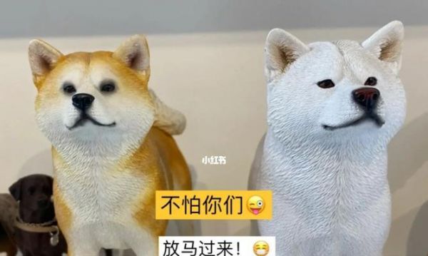狗狗训练（从宠物犬的行为习惯到训练技巧，让你轻松达成目标）