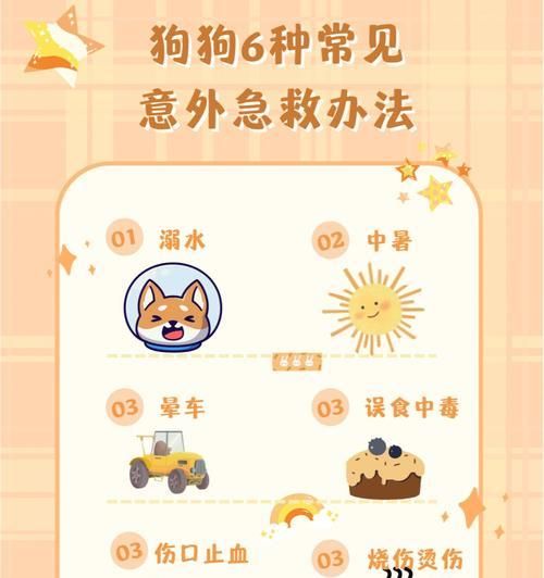 六种高效教育狗狗的方法（如何培养优秀的狗狗行为习惯）