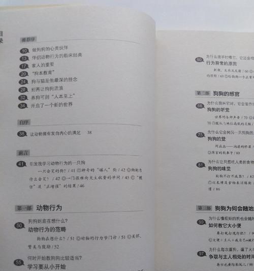 六种高效教育狗狗的方法（如何培养优秀的狗狗行为习惯）