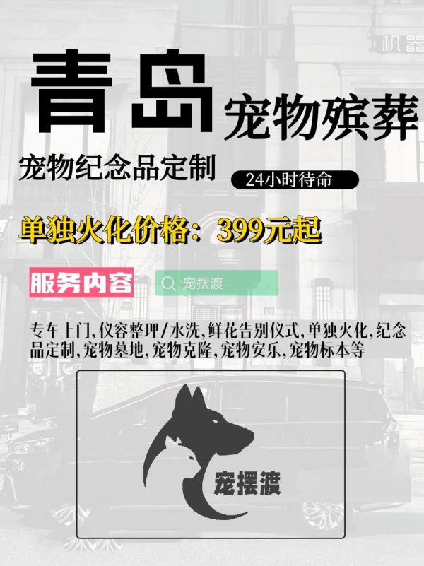 青岛宠物殡仪馆：如何让告别更具个性化服务