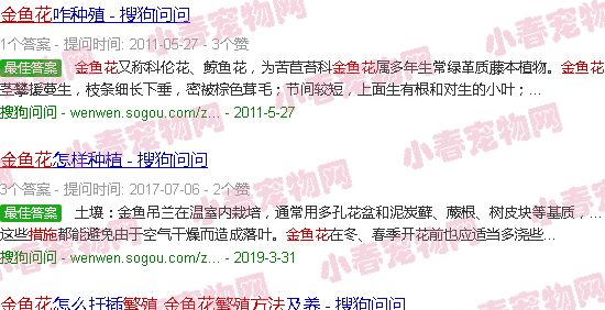 金鱼花的繁殖方法