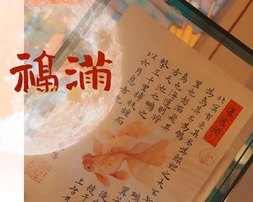 金鱼绝育的必要性（母鱼甩籽的影响与绝育的优势）