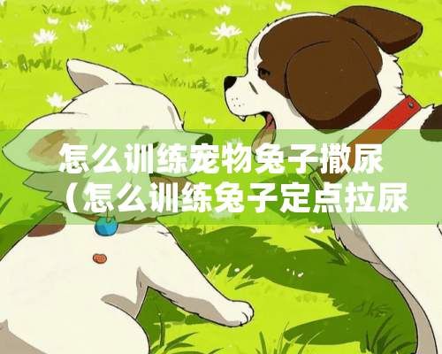 怎么训练宠物兔子撒尿（怎么训练兔子定点拉尿）
