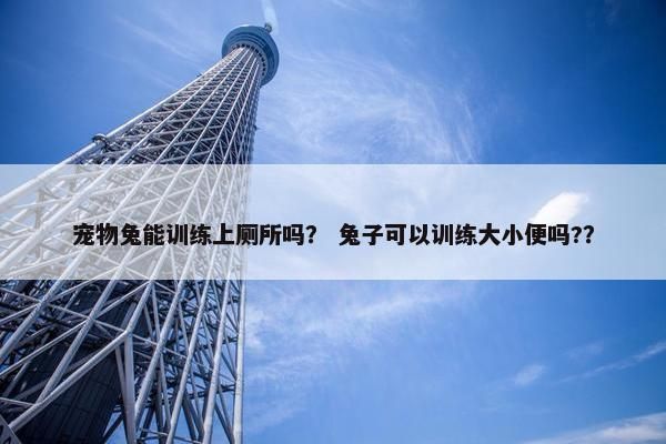 宠物兔能训练上厕所吗？ 兔子可以训练大小便吗?？