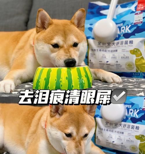 狗狗脱毛膏安全吗？使用时应注意什么？