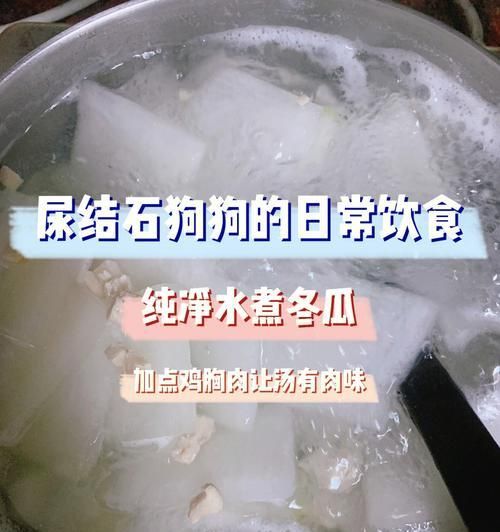 宠物狗肾结石呕吐的原因和治疗方法（了解宠物狗肾结石症状）