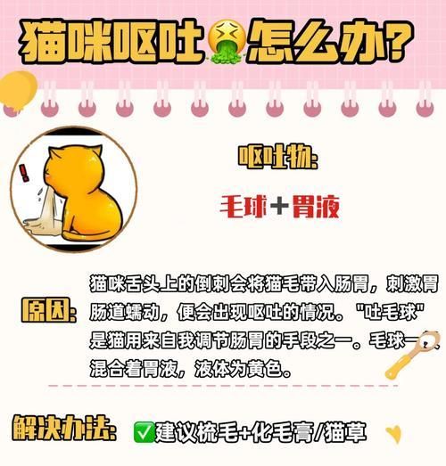 猫吐的都是毛毛和猫粮怎么回事？猫咪呕吐毛球和猫粮的原因是什么？