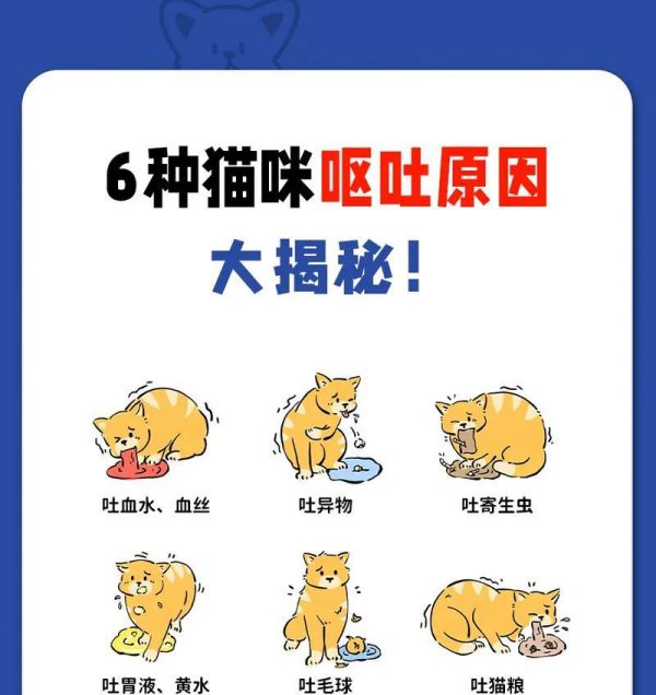 猫吐的都是毛毛和猫粮怎么回事？猫咪呕吐毛球和猫粮的原因是什么？