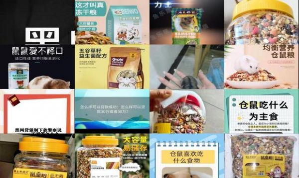 三线仓鼠吃什么粮食好