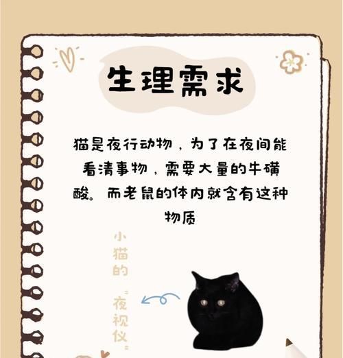如何防止老鼠偷吃猫粮？发现老鼠偷吃猫粮后应采取什么措施？