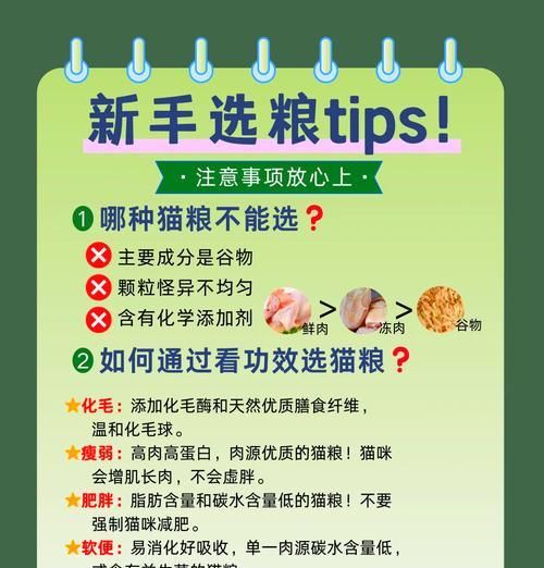 猫粮被老鼠吃掉后如何处理？