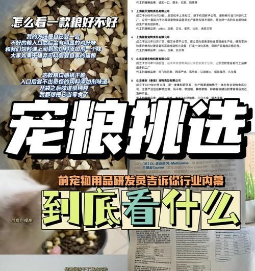 如何存放猫粮防止老鼠偷吃？
