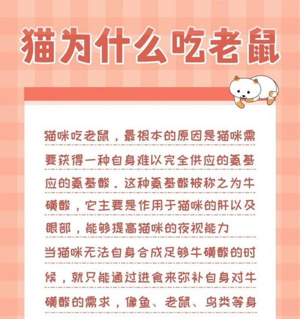如何存放猫粮防止老鼠偷吃？