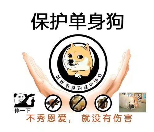 猪病解速查手册,宠物主人必看!