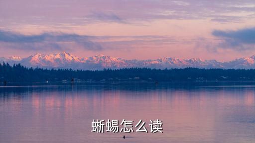 蜥蜴怎么读