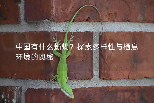 中国有什么蜥蜴？探索多样性与栖息环境的奥秘