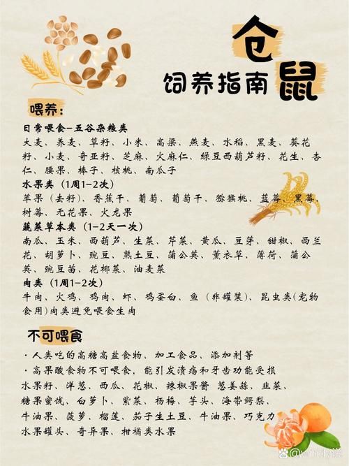 仓鼠饲养手册电子版,仓鼠饲养手册电子版下载
