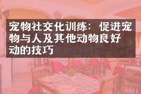 宠物社交化训练：促进宠物与人及其他动物良好互动的技巧