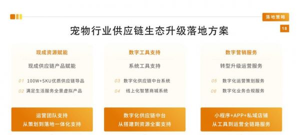 如何制定有效的营销策略来提升宠物网站的流量和销量？