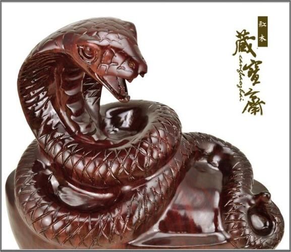 家居风水之蛇家居色调风水家居摆放风水