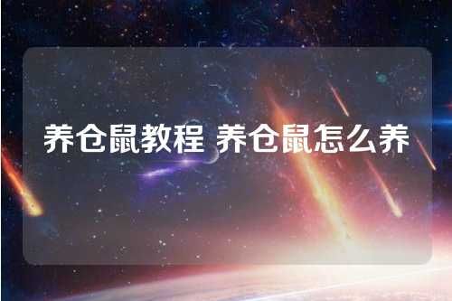 养仓鼠教程 养仓鼠怎么养 第1张