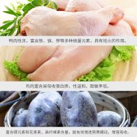比乐狗粮宠物狗狗主粮原味守护者系列低脂低敏 支持抵抗力 鸭肉鸡肉紫薯成犬粮 1.5kg