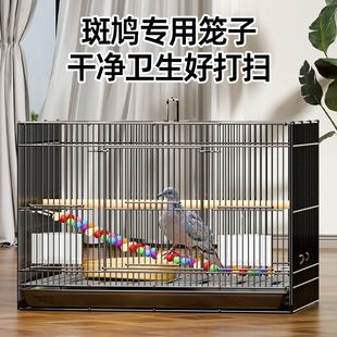 笼子斑鸠专用养殖笼养活鸟家养大号家用繁殖鸟笼