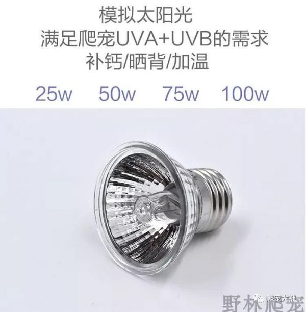 爬行宠物饲养箱灯具器材的搭配