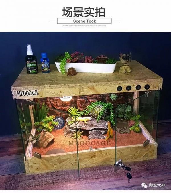 爬行宠物饲养箱灯具器材的搭配