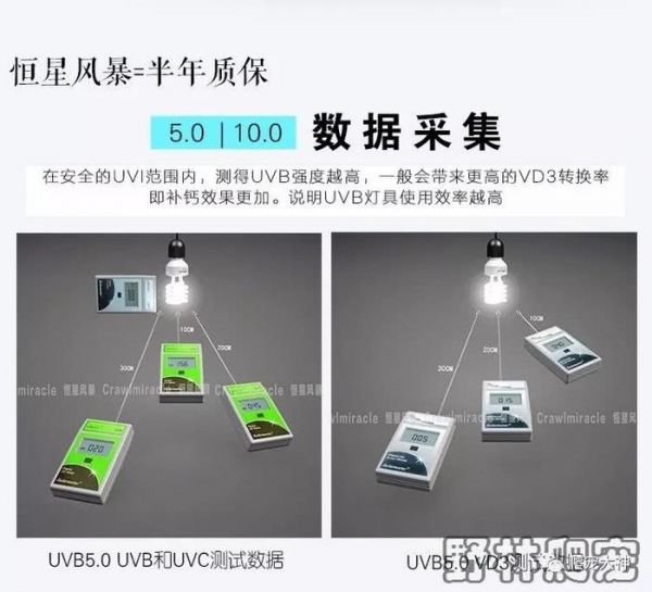 爬行宠物饲养箱灯具器材的搭配