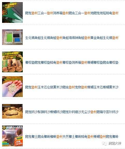 爬行宠物饲养箱灯具器材的搭配