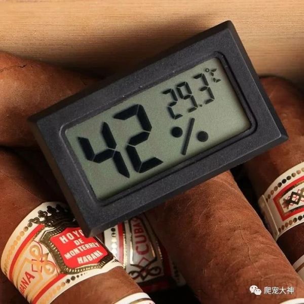 爬行宠物饲养箱灯具器材的搭配