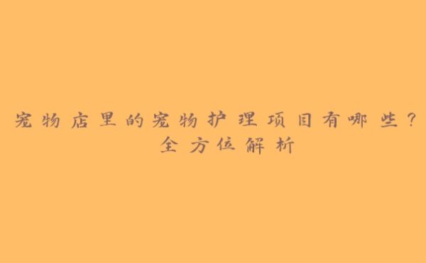 宠物店里的宠物护理项目有哪些? 全方位解析