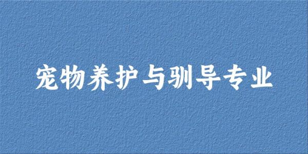 宠物养护与驯导专业福建录取分数线