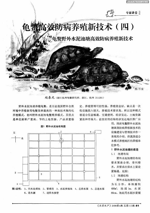 龟鳖高效防病养殖新技术(四)——龟鳖野外水泥池塘高效防病养殖新技术