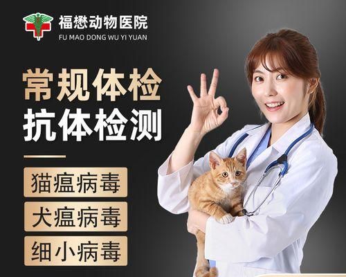 宠物医院常见项目检查费用（了解狗狗去宠物医院检查身体的费用及常见项目）