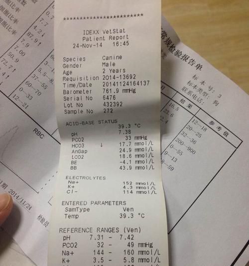 宠物医院常见项目检查费用（了解狗狗去宠物医院检查身体的费用及常见项目）