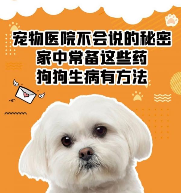 宠物医院常见项目检查费用（了解狗狗去宠物医院检查身体的费用及常见项目）