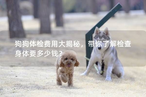 狗狗体检费用大揭秘，带你了解检查身体要多少钱？