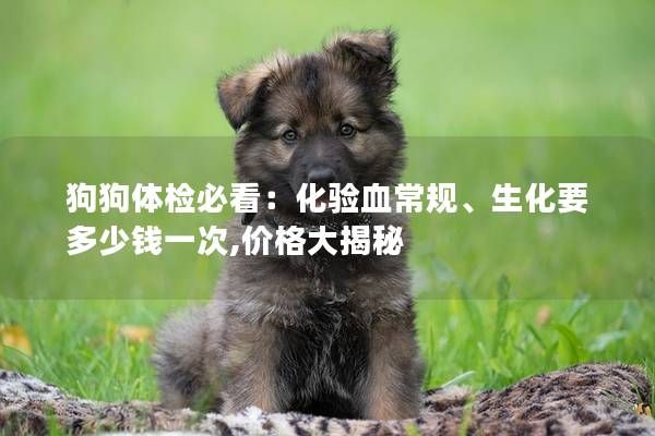 狗狗体检必看：化验血常规、生化要多少钱一次,价格大揭秘