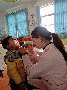 绝育前,带宠物体检,了解健康状况。