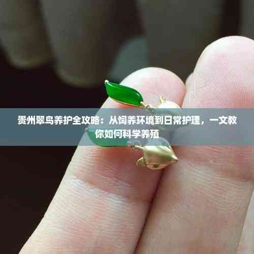 贵州翠鸟养护全攻略：从饲养环境到日常护理，一文教你如何科学养殖