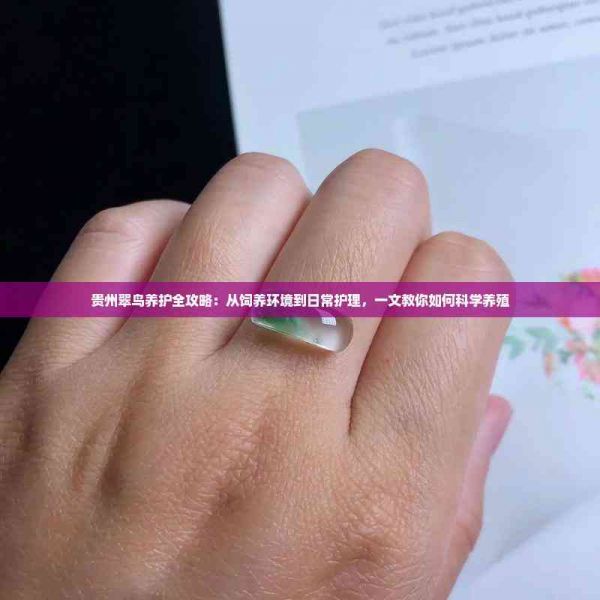 贵州翠鸟养护全攻略：从饲养环境到日常护理，一文教你如何科学养殖