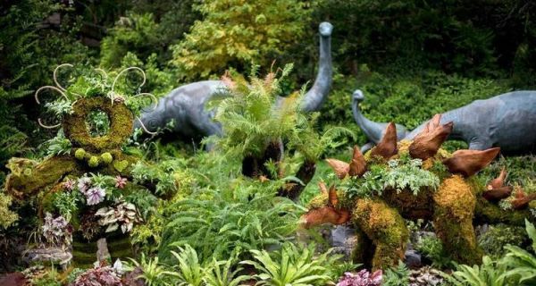 哪些植物适合与动物一起养护？它们的互动性如何？