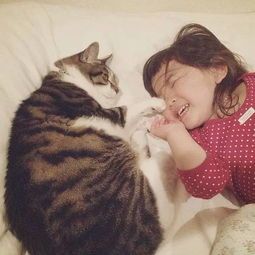 “猫咪性格养成秘籍，轻松打造萌宠小天使！”