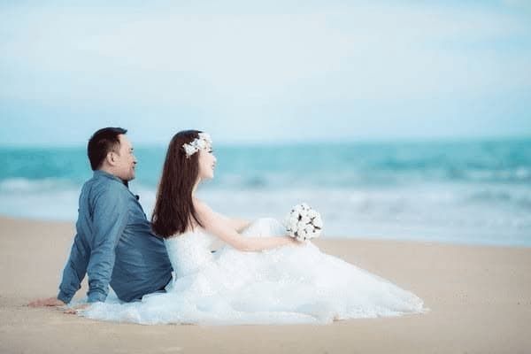 狗狗吃什么养胃，狗狗吃什么养胃又补胃