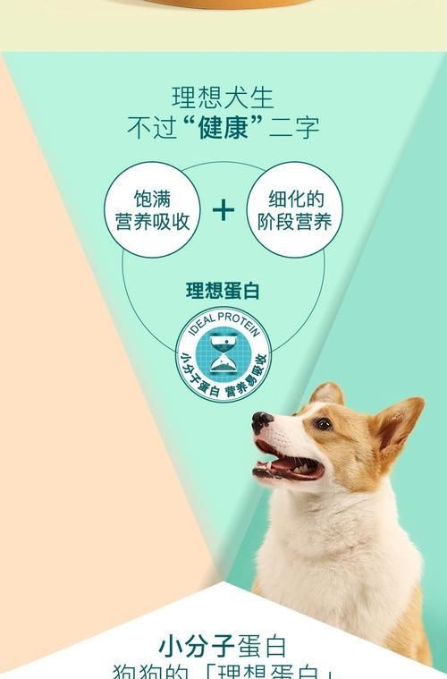 成犬适合喂哪种狗粮？（选择适合成犬的狗粮，保证营养均衡、健康成长）