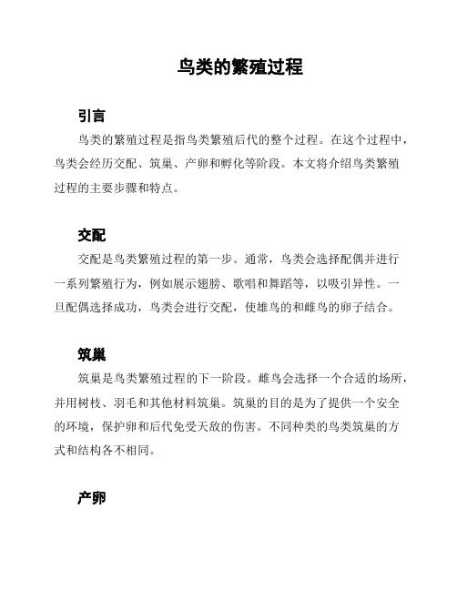 鸟类的繁殖过程