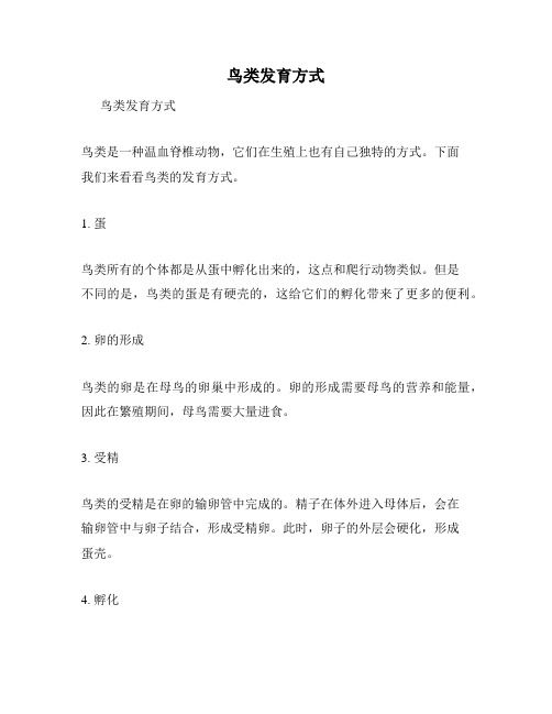 鸟类发育方式